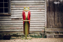 Load image into Gallery viewer, Frog, Dumb Waiter, 6 feet  AR4148

